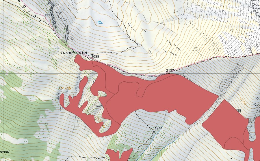 swisstopo national map showing the protected perimeter of Horemäder (Dry meadow)