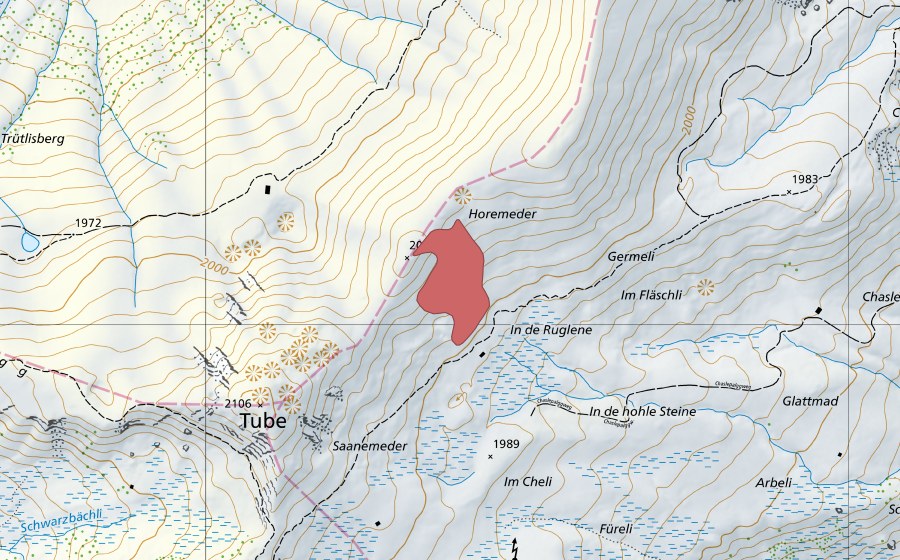 Carte nationale swisstopo avec le périmètre protégé de Horemeder (Prairie sèche)