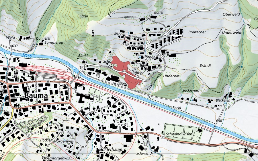 swisstopo national map showing the protected perimeter of Hörnen (Dry meadow)