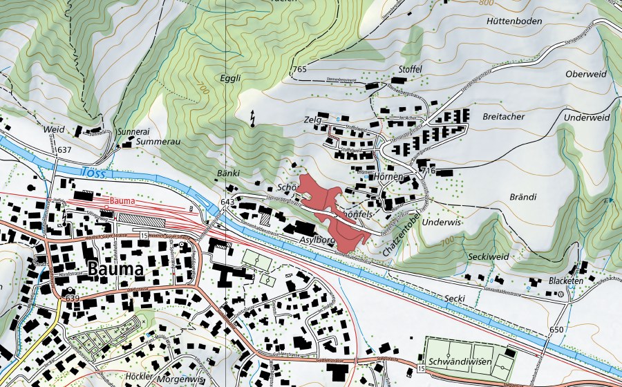 swisstopo national map showing the protected perimeter of Hörnen (Dry meadow)