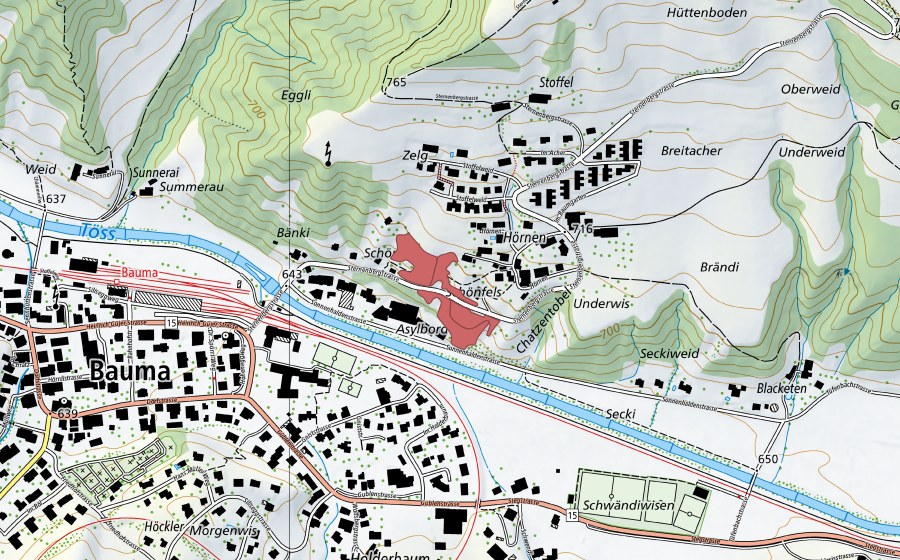 Landeskarte swisstopo mit dem Schutzperimeter von Hörnen (Trockenwiese)