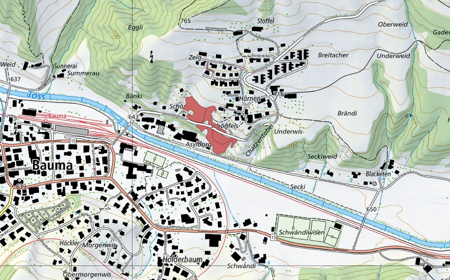 Landeskarte swisstopo mit dem Schutzperimeter von Hörnen (Trockenwiese)