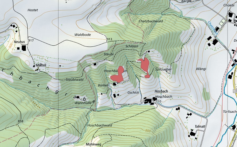 Landeskarte swisstopo mit dem Schutzperimeter von Hoschbach (Trockenwiese)