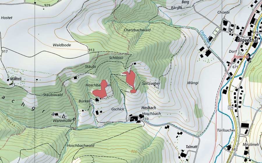 swisstopo national map showing the protected perimeter of Hoschbach (Dry meadow)