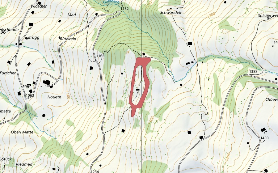 swisstopo national map showing the protected perimeter of Houete (Dry meadow)