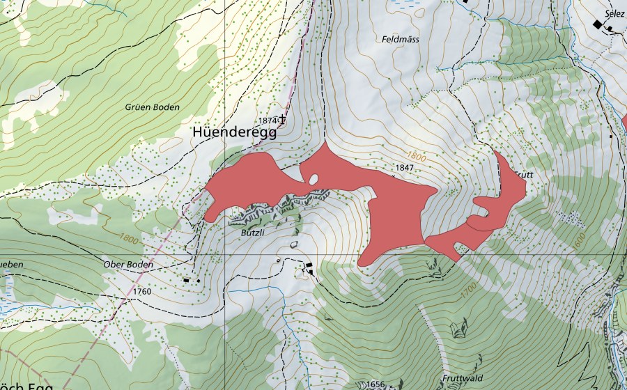 swisstopo national map showing the protected perimeter of Hüenderegg (Dry meadow)