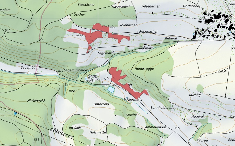 swisstopo national map showing the protected perimeter of Hundruggen (Dry meadow)