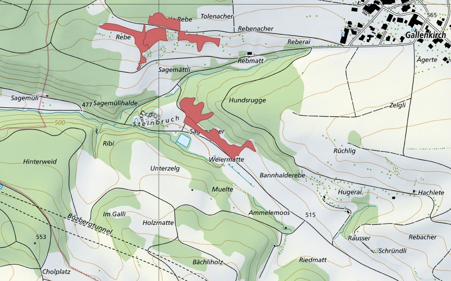 swisstopo national map showing the protected perimeter of Hundruggen (Dry meadow)
