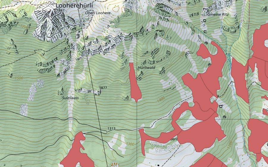swisstopo national map showing the protected perimeter of Hürliwald (Dry meadow)