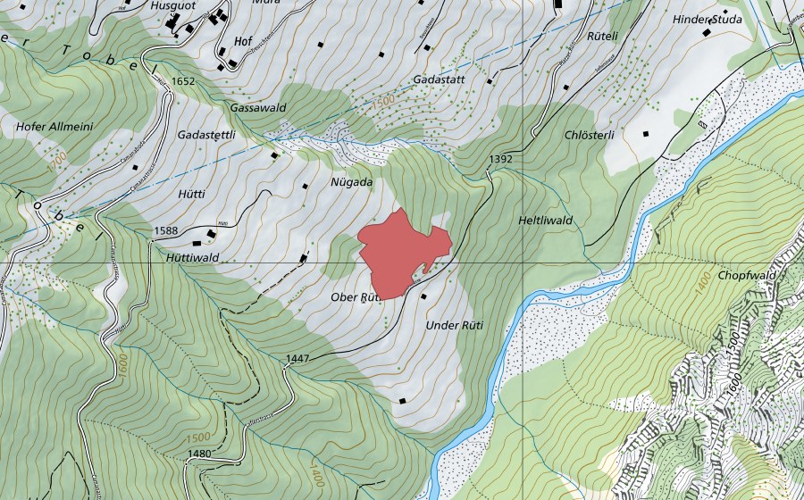Landeskarte swisstopo mit dem Schutzperimeter von Hütti (Trockenwiese)