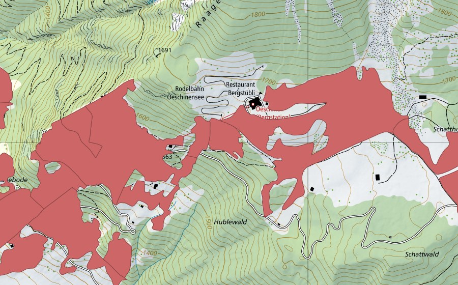 swisstopo national map showing the protected perimeter of I de Huble (Dry meadow)