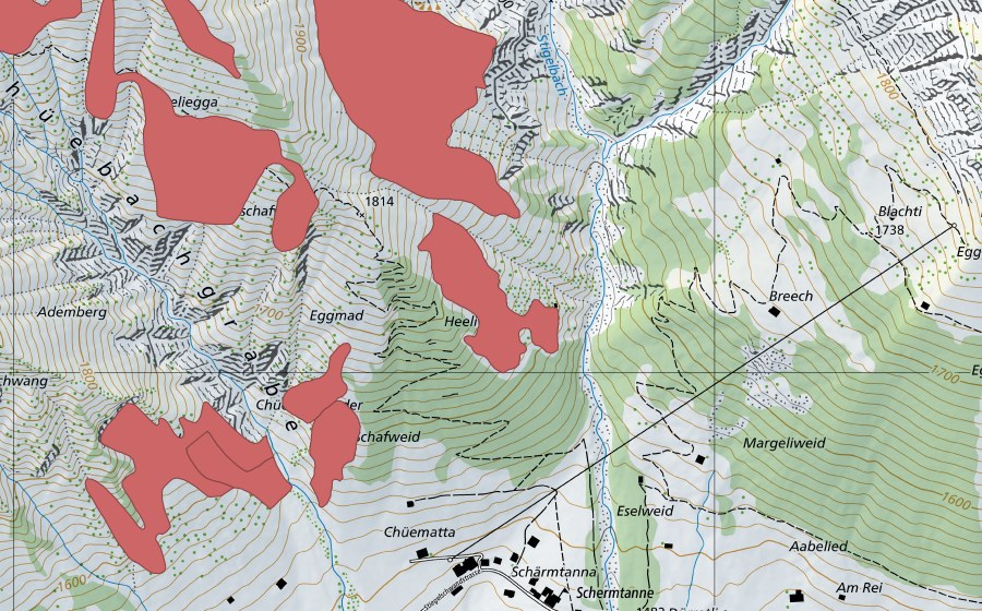 Carte nationale swisstopo avec le périmètre protégé de I de Wenge (Prairie sèche)