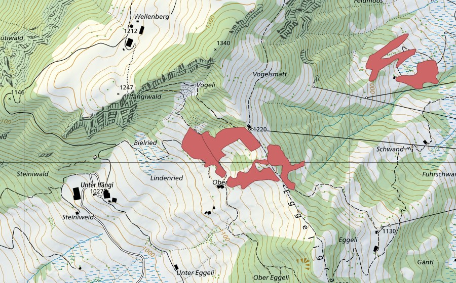 swisstopo national map showing the protected perimeter of Ifängi (Dry meadow)