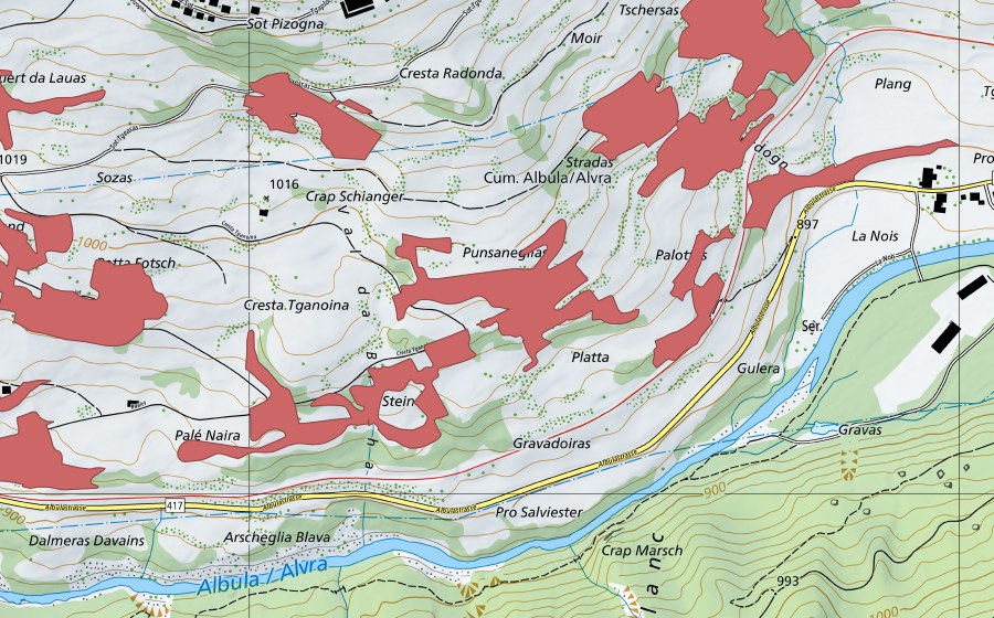 swisstopo national map showing the protected perimeter of Igl Plaz (Dry meadow)
