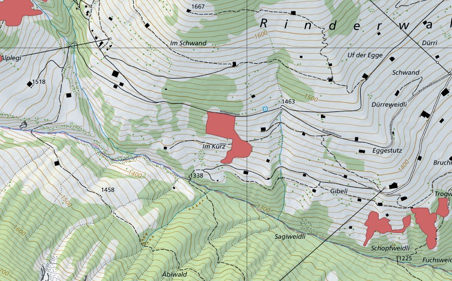 swisstopo national map showing the protected perimeter of Im Kürz (Dry meadow)