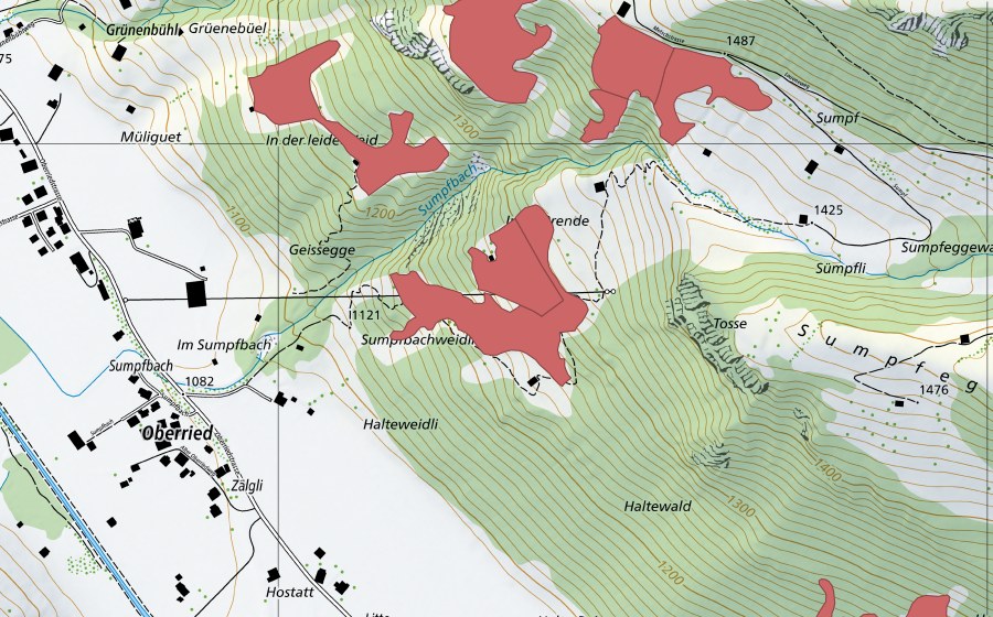 swisstopo national map showing the protected perimeter of In de Brenden (Dry meadow)