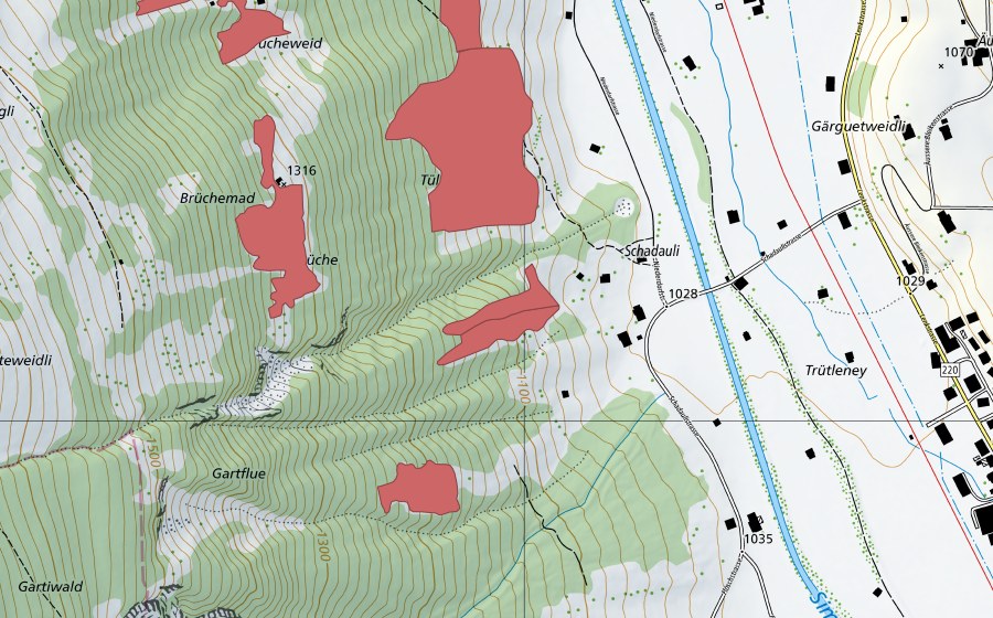 swisstopo national map showing the protected perimeter of In de Brüche (Dry meadow)
