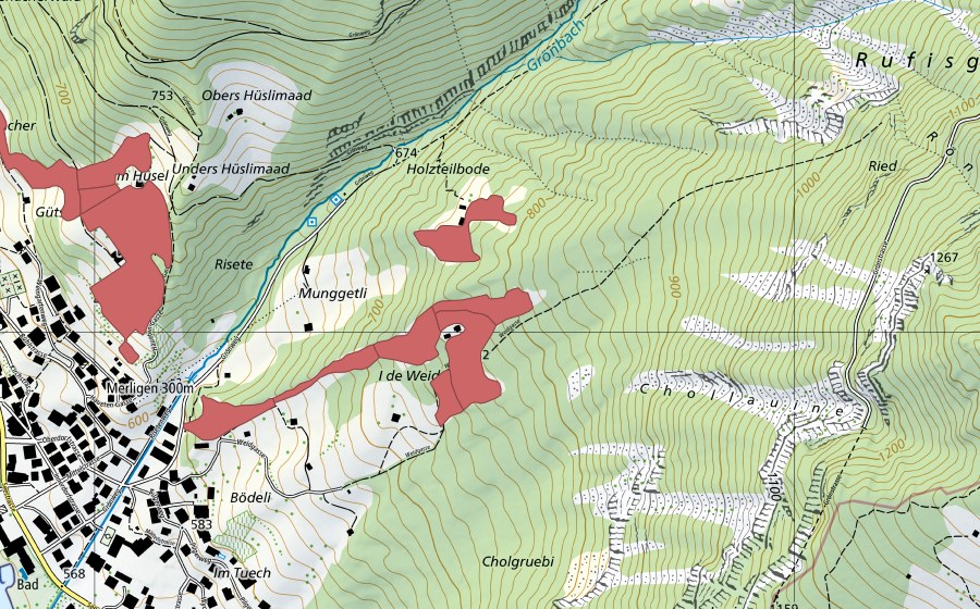 swisstopo national map showing the protected perimeter of In de Weidene (Dry meadow)
