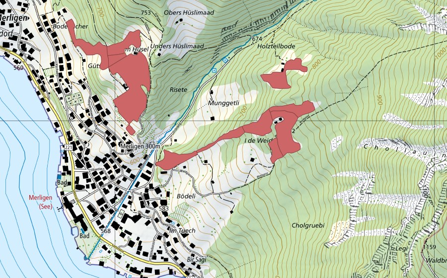 swisstopo national map showing the protected perimeter of In de Weidene (Dry meadow)