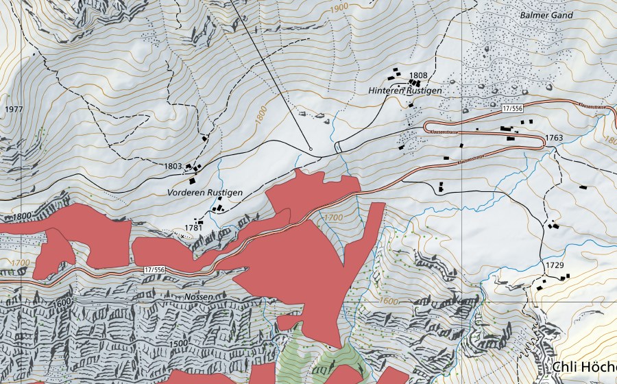 swisstopo national map showing the protected perimeter of In den Arven (Dry meadow)