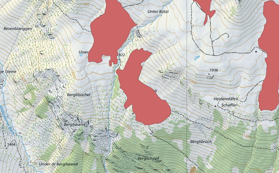 swisstopo national map showing the protected perimeter of Innerbergli (Dry meadow)