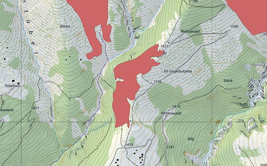swisstopo national map showing the protected perimeter of Inneren Bleisa (Dry meadow)