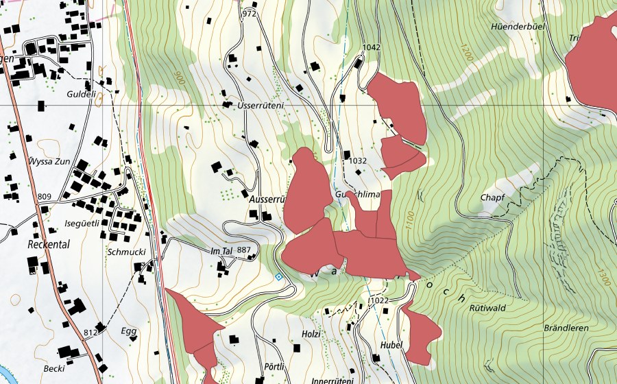 Landeskarte swisstopo mit dem Schutzperimeter von Innerrüteni (Trockenwiese)