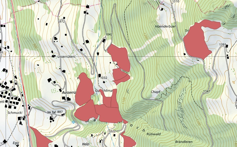 Landeskarte swisstopo mit dem Schutzperimeter von Innerrüteni (Trockenwiese)