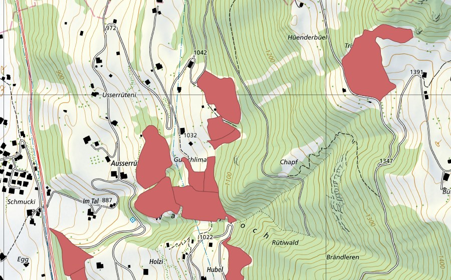 swisstopo national map showing the protected perimeter of Innerrüteni (Dry meadow)