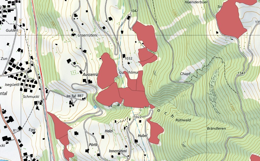 swisstopo national map showing the protected perimeter of Innerrüteni (Dry meadow)
