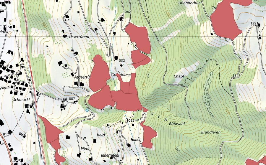 swisstopo national map showing the protected perimeter of Innerrüteni (Dry meadow)