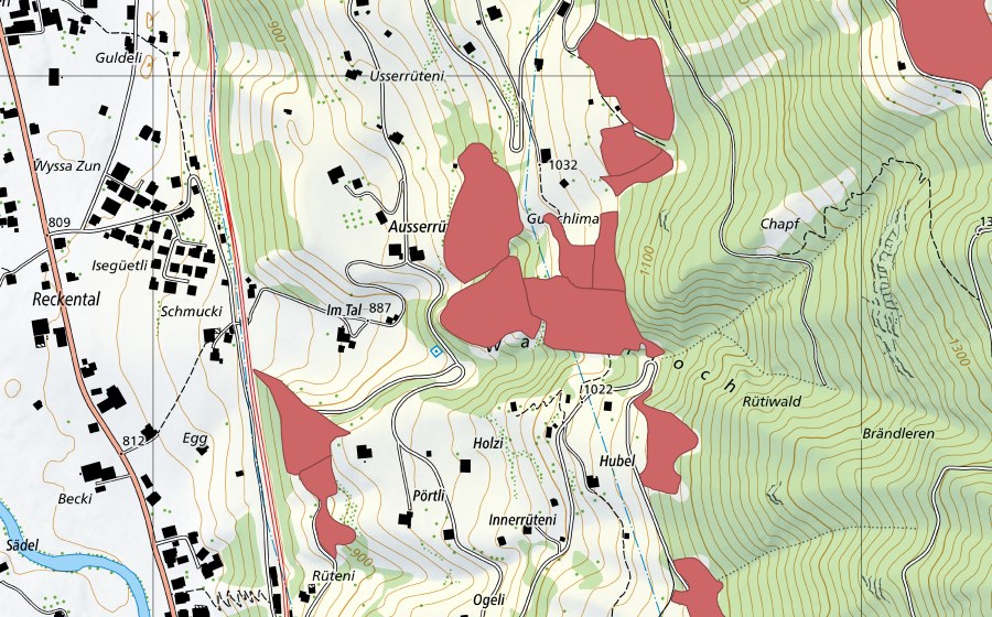 swisstopo national map showing the protected perimeter of Innerrüteni (Dry meadow)