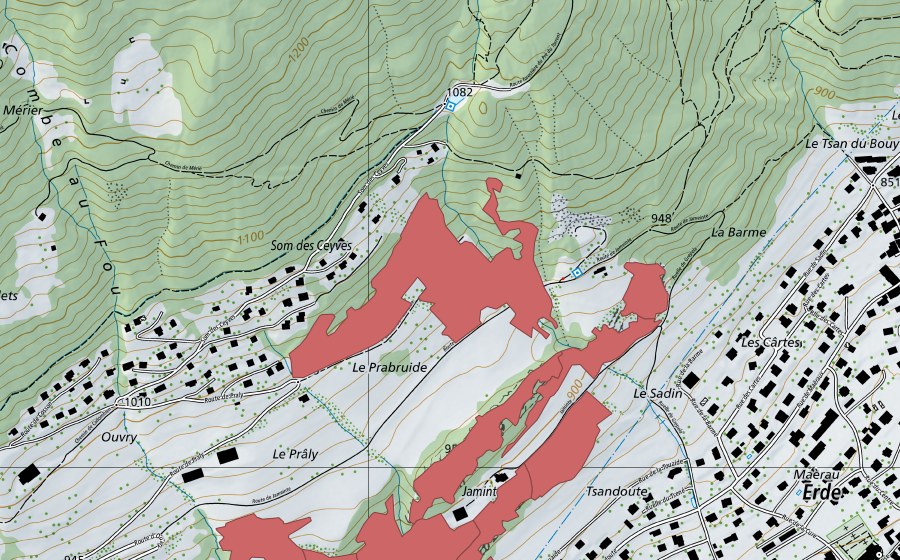 swisstopo national map showing the protected perimeter of Jaminta (Dry meadow)