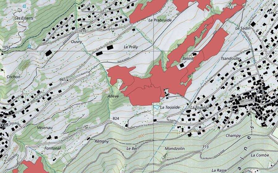 Landeskarte swisstopo mit dem Schutzperimeter von Jaminta (Trockenwiese)