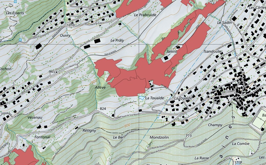Landeskarte swisstopo mit dem Schutzperimeter von Jaminta (Trockenwiese)
