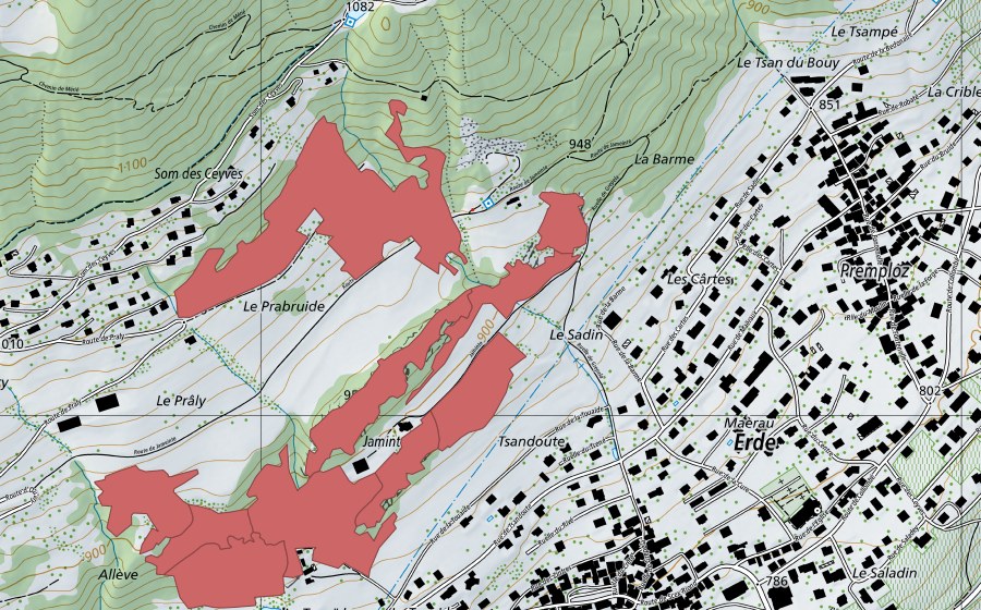 Carte nationale swisstopo avec le périmètre protégé de Jaminta (Prairie sèche)