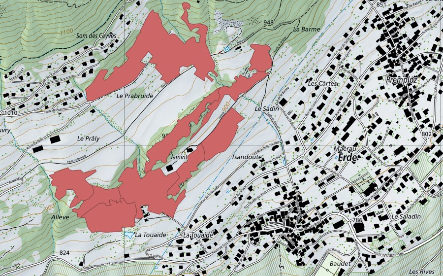 swisstopo national map showing the protected perimeter of Jaminta (Dry meadow)