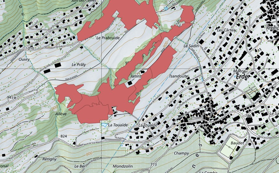 swisstopo national map showing the protected perimeter of Jaminta (Dry meadow)