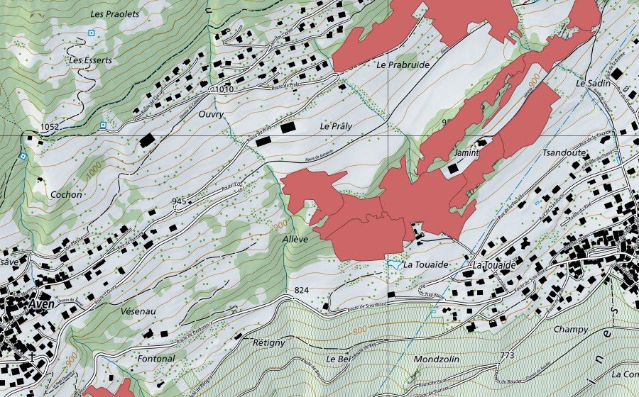 Carte nationale swisstopo avec le périmètre protégé de Jaminta (Prairie sèche)