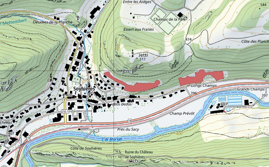 Landeskarte swisstopo mit dem Schutzperimeter von Jetti (Trockenwiese)
