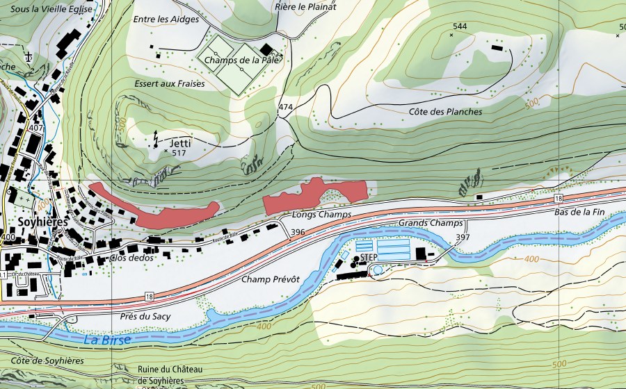 swisstopo national map showing the protected perimeter of Jetti (Dry meadow)