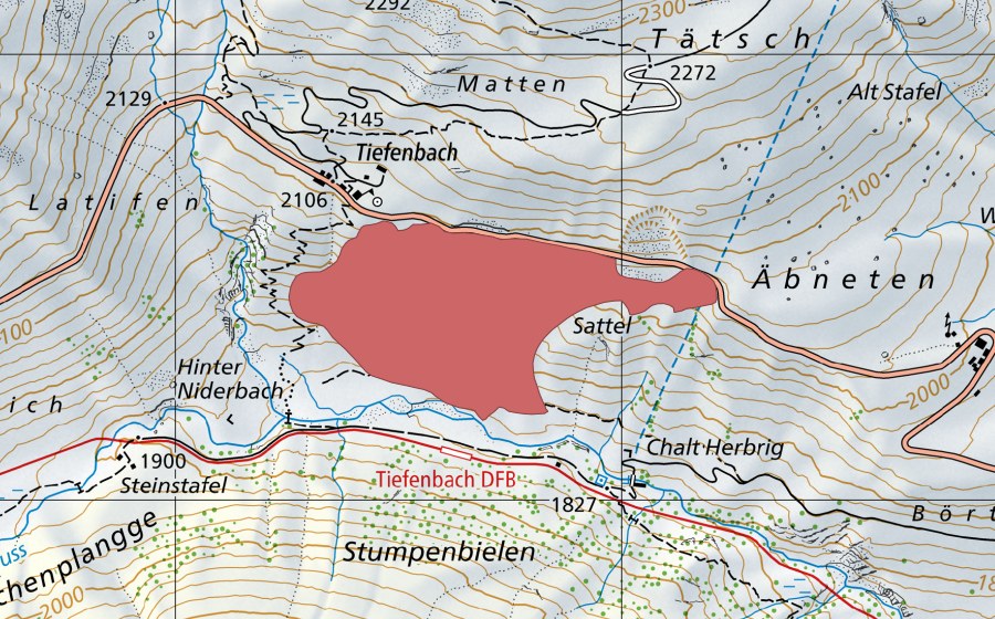 Landeskarte swisstopo mit dem Schutzperimeter von Joggenen (Trockenwiese)