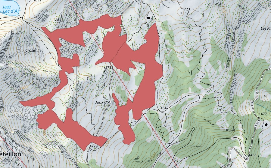 swisstopo national map showing the protected perimeter of Joux d'Aï (Dry meadow)