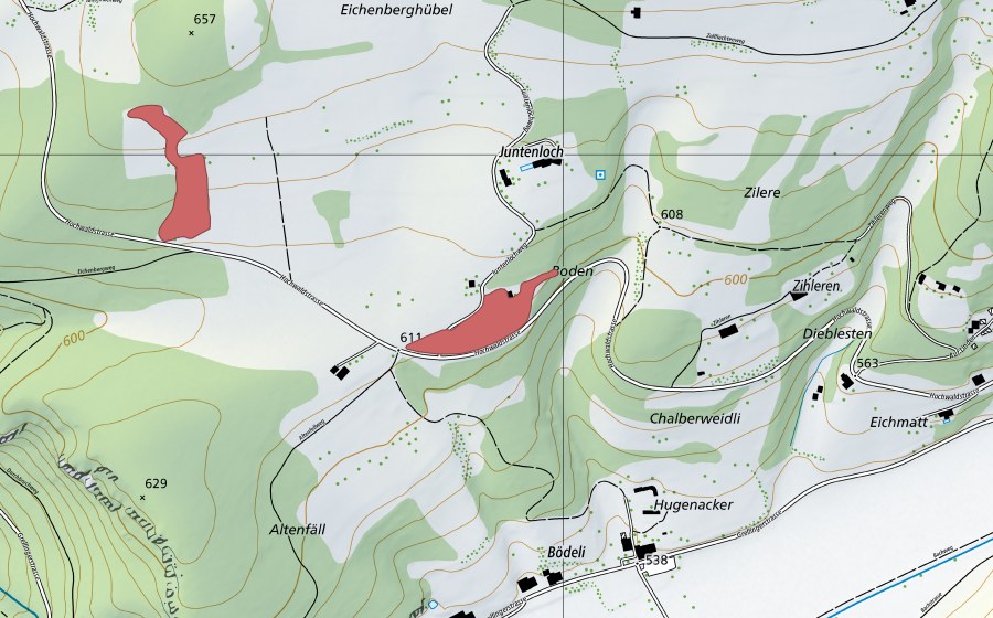 swisstopo national map showing the protected perimeter of Juntenloch (Dry meadow)