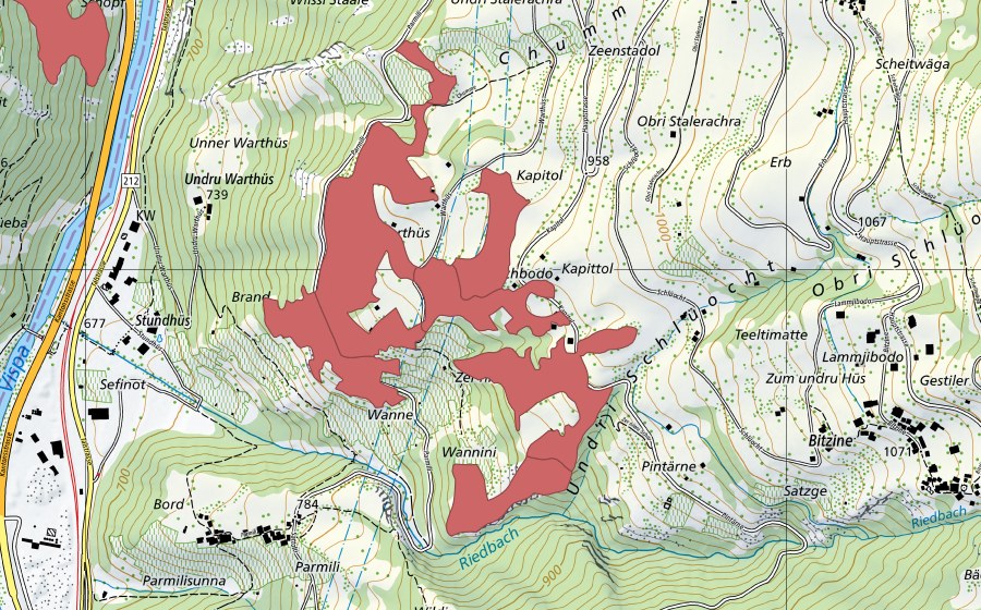 Carta nazionale swisstopo con il perimetro protetto di Kapittol (Prato secco)