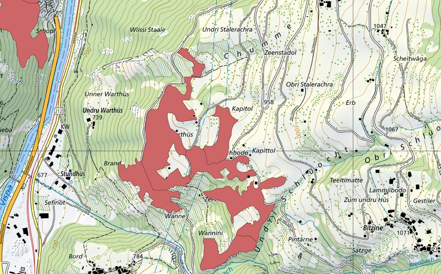 Landeskarte swisstopo mit dem Schutzperimeter von Kapittol (Trockenwiese)