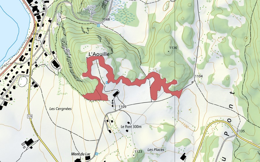 Landeskarte swisstopo mit dem Schutzperimeter von L'Aouille (Trockenwiese)