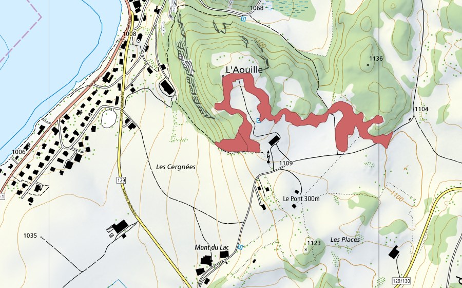 swisstopo national map showing the protected perimeter of L'Aouille (Dry meadow)