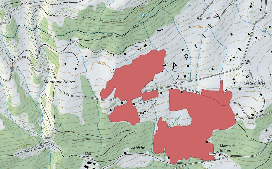 Landeskarte swisstopo mit dem Schutzperimeter von L'Aprîli (Trockenwiese)