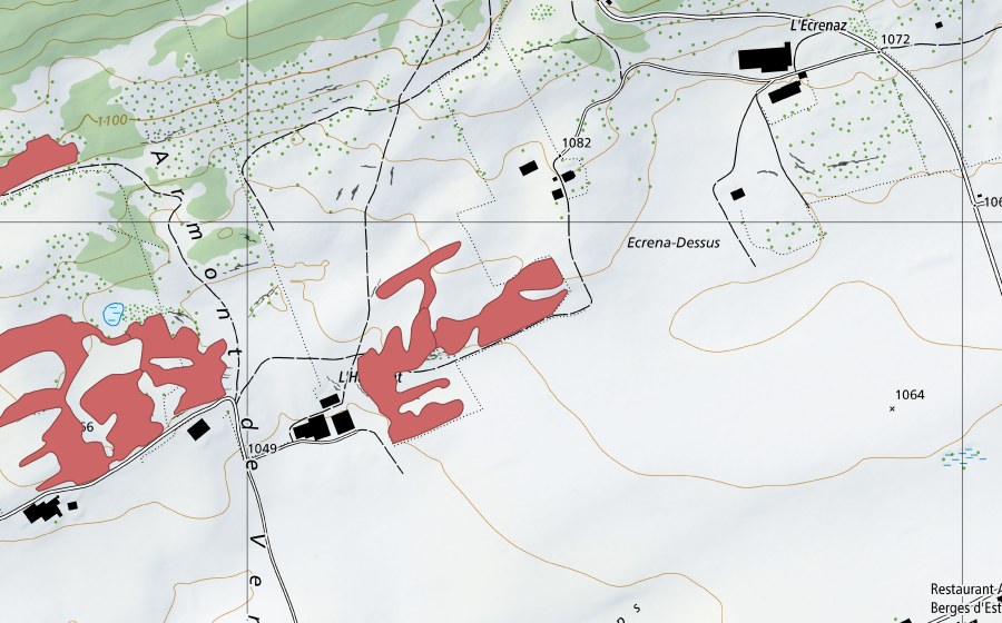 Landeskarte swisstopo mit dem Schutzperimeter von L'Armont de Vent (Trockenwiese)